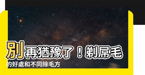 屌毛|屌毛 的意思、解釋、用法、例句